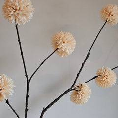 Collection image for: Nieuw binnen