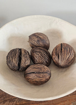 Mintolla Ball Brown - 5 Stuks