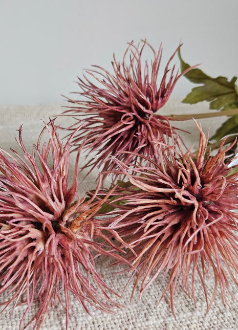Close-up van kunstbloem eryngium distel donkerroze - stekelige bloem en realistische details