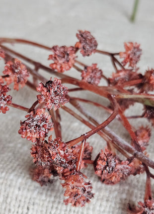 Close-up van kunstbloem gypsophila gipskruid donkerroze - kleine bloemetjes en romantische uitstraling