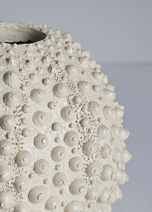 Close-up van vaas Sea Urchin crème - zee-egel textuur en natuurlijke noppen