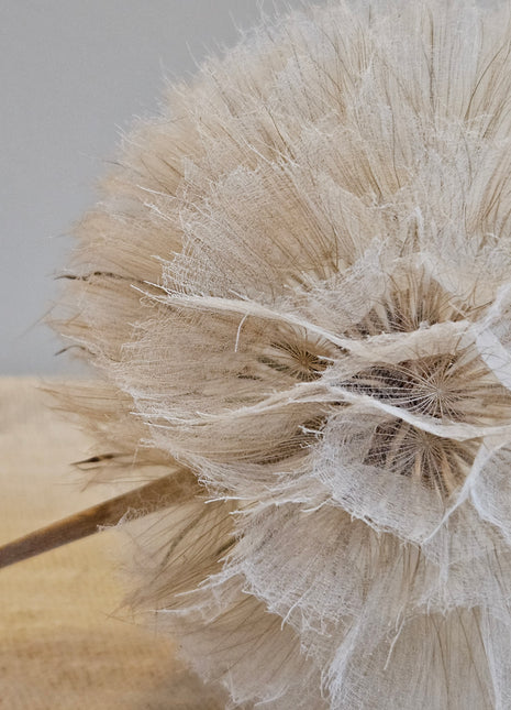 Close-up van kunstbloem dandelion paardenbloem wit - pluizige bloem en natuurlijke uitstraling