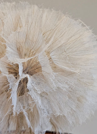 Close-up van kunstbloem dandelion paardenbloem wit - pluizige bloem en natuurlijke uitstraling