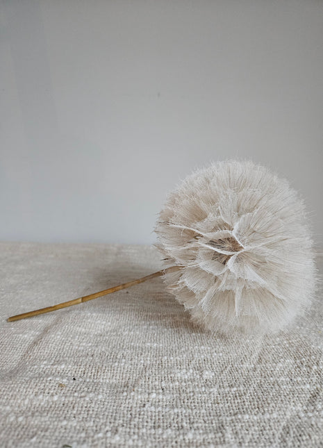 Kunstbloem dandelion paardenbloem wit met pluizige vorm Ø 11 x hoogte 35 cm