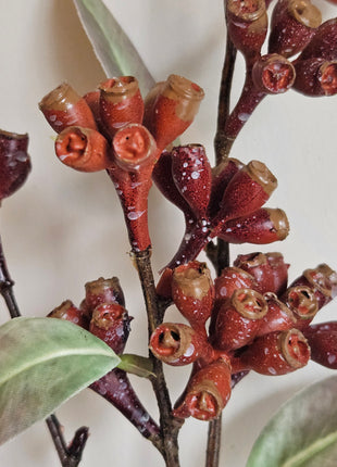 Close-up van kunstplant eucalyptus rood - ronde bladeren en rode tinten