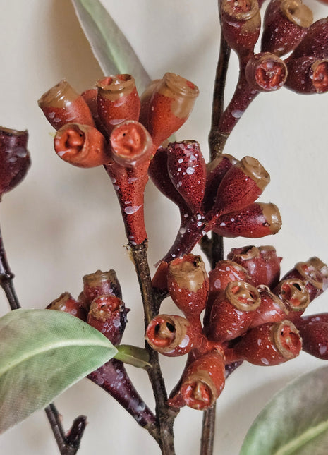 Close-up van kunstplant eucalyptus rood - ronde bladeren en rode tinten
