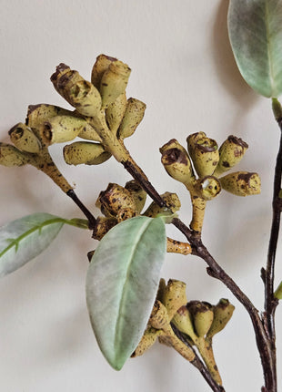 Close-up van kunstplant eucalyptus groen - realistische bladeren