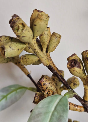 Close-up van kunstplant eucalyptus groen - natuurlijke bladstructuur