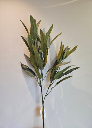 Close-up van kunstplant eucalyptus groen - natuurlijke bladstructuur