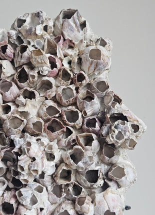 Close-up van ornament zeepokken wit roze - natuurlijke textuur