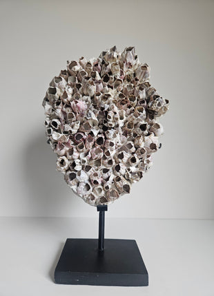 Ornament zeepokken op standaard wit roze Ø 22 x hoogte 35 cm