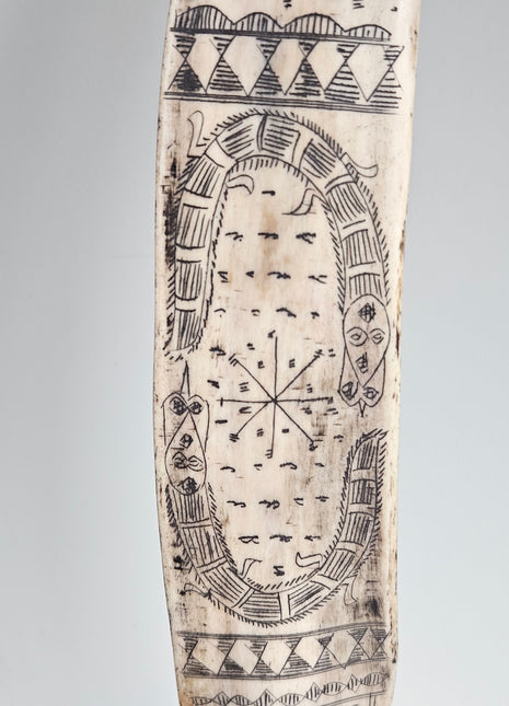 Close-up van ornament zwaardvis naturel - gedetailleerde afwerking