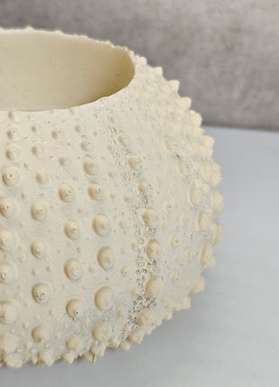 Waxinelichthouder Sea Urchin crème met natuurlijke zee-egel textuur op dienblad