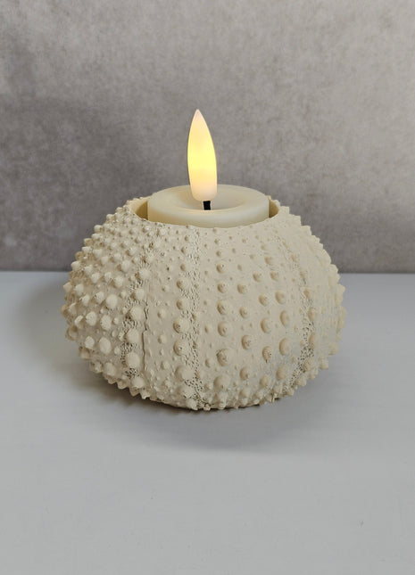 Waxinelichthouder Sea Urchin crème gepresenteerd met kaarslicht Ø 9 x hoogte 6 cm