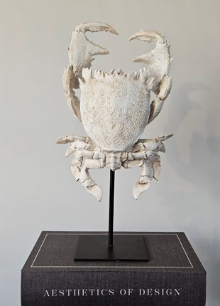 Close-Up Light & Living Ornament krab crème wit gepresenteerd op een standaard met een woonboek.