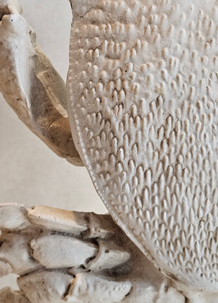 Close-Up Light & Living Ornament krab crème wit gepresenteerd op een standaard met een woonboek.