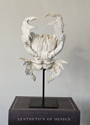 Close-Up Light & Living Ornament krab crème wit gepresenteerd op een standaard met een woonboek.