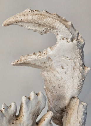 Close-Up Light & Living Ornament krab crème wit gepresenteerd op een standaard. 