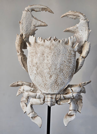 Light & Living Ornament krab crème wit gepresenteerd op een standaard. 