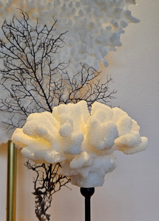 Ornament koraal crème gepresenteerd op dressoir in sfeervol interieur