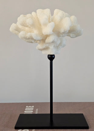 Ornament koraal crème met natuurlijke vorm 17 x 17 x 27 cm