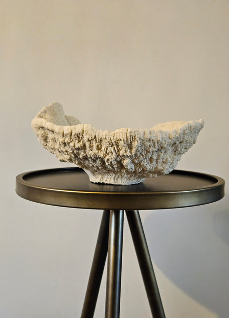 Ornament Coral crème met natuurlijke vorm 25 x 23 x 11 cm