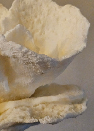 Close-Up Ornament roos crème op standaard, mooie bladeren