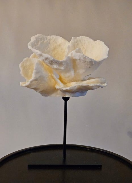 Ornament roos crème op standaard met sculptuur vorm hoogte 27 cm