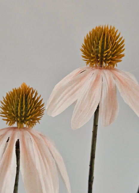 Close-up van de crème witte bloem van een Echinacea kunstbloem.