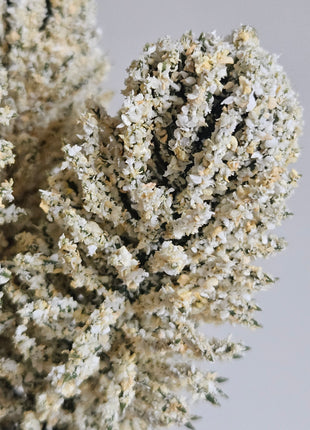 Close-up van kunsttakken wit room - decoratieve bladstructuur