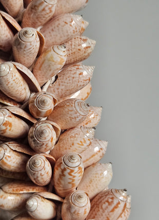 Close-up van schelpenketting roze beige - gevlochten band met schelpenaccenten