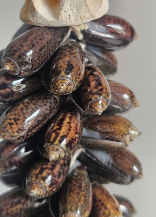 Close-up van schelpenketting handgemaakt lang - contrast tussen donkere en lichte schelpen