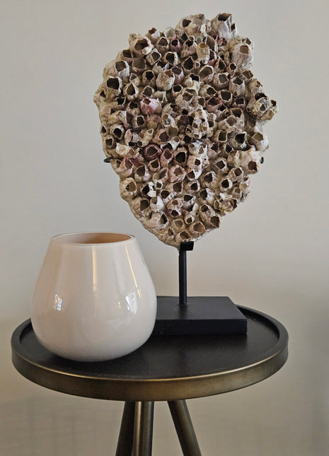 Waxinelichthouder Tasman ivory glas gepresenteerd op salontafel met een ornament zeeokken