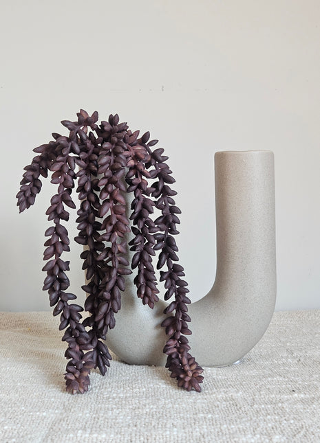 Close-up van kunstplant erwtenplant paars - realistische blaadjes en hangende takken