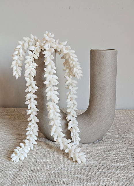 Close-up van kunstplant erwtenplant crème - realistische blaadjes en hangende takken