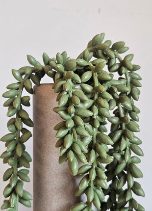 Close-up van kunstplant erwtenplant groen - hangende takken en natuurlijke uitstraling