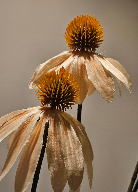 Close-up van kunstbloem echinacea zonnehoed crème - realistische bloem hoogte 123 cm