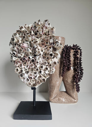 Ornament zeepokken wit roze in sfeervol interieur