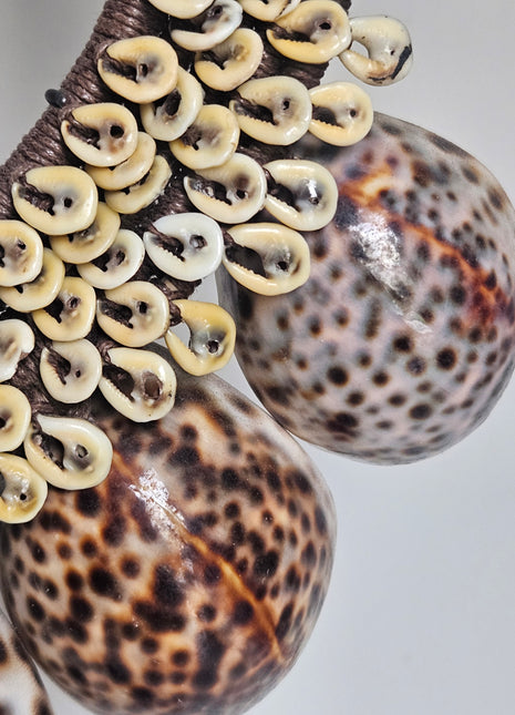 Close-up van schelpenketting tijgerschelp - natuurlijke schelpen