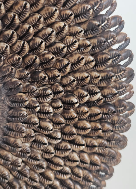 Close-up van schelpenketting antiek look donker - natuurlijke schelpen