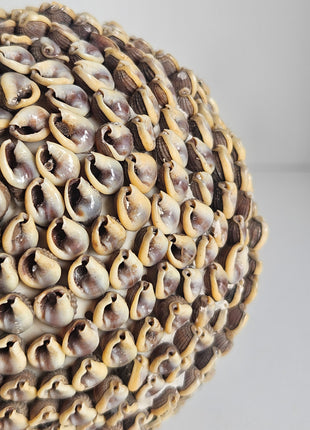 Close-up van schelpenbol decoratie naturel - natuurlijke schelpen