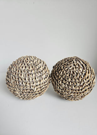 Schelpenbol decoratie naturel Ø 7 cm