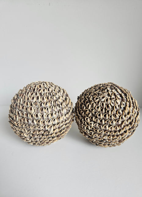 Schelpenbol decoratie naturel Ø 7 cm