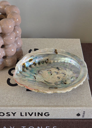 Schuin bovenaanzicht van abalone schelp met blauw-groen parelmoer op een beige boek naast een roze vaasje