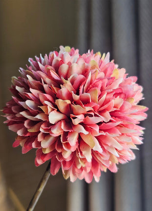Close-up van een Zijdebloem Chrysanthemum Pompom Pink. De bladeren zijn fijn en bijna niet van echt te onderscheiden.