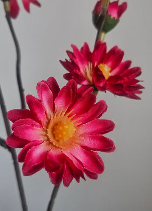 Close-Up Zijdebloem Daisy Spray Red met een hoogte van 50 cm en buigbare steel. De bloemen zijn prachtig kleurig roze, de blaadjes zijn zijde zacht.