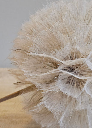 Close-up van kunstbloem dandelion paardenbloem wit - pluizige bloem en natuurlijke uitstraling
