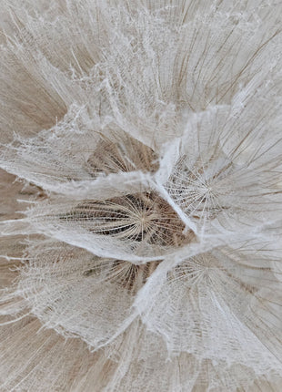 Close-up van kunstbloem dandelion paardenbloem - witte tinten en speelse vorm
