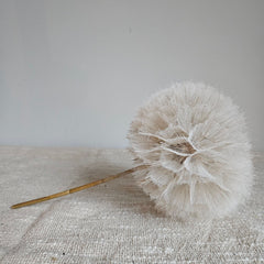 Kunsttak dandelion paardenbloem wit met ronde pluizige bol op een linnen ondergrond