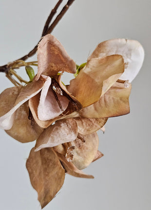 Kunstbloem Bougainvillea Taupe